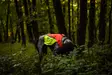 Non-stop Protector Vest 2.0 - Hundewesten und -kleidung - 7071652045599 - 3