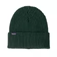 Patagonia Fisherman's Rolled Beanie Cascade Green - Mützen - 198077131489 - 1