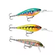 Rapala Essentials Trout Sunny 2.0 - Köder-Sortimente - 022677384139 - 2