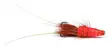 Red Frances Copper tube - Tube Fliegen - 7033840121379 - 2
