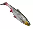 Savage Gear 3D River Roach 14cm 28g - Weichköder für Hechte unter 100g - 3400300109 - 4