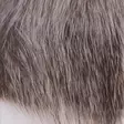 Silvergrey Nutria - Körperhaare - 40500200019 - 14