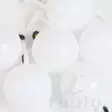 White - Indikatoren - 858119014209 - 6