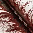 Veniard Cock Pheasant Knotted Tail - Andere Federn und Plüme - 40450300039 - 6