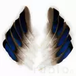 Mallard Duck Wing Quills - Klassische Feder - 5056304601936 - 2