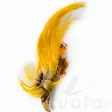 Wapsi Golden Pheasant Crest - Häute, Flügel und Köpfe - 404001000009 - 4