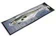 Westin Big Bob 49cm 730G - Meeresangel-Jigs - 17300500009 - 2