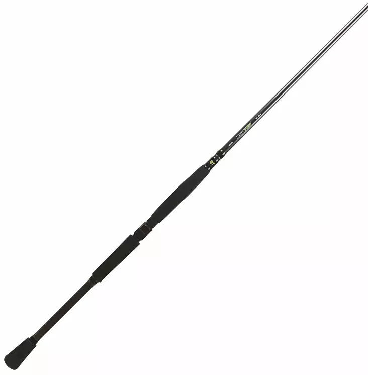 BFT Raptor G2 Pike Spin - Andere Spinnruten - 7340029417339 - 1