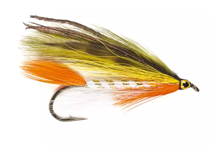 Golden Shiner Streamer - Streamer und Wooly Buggers - 8859202536099 - 1