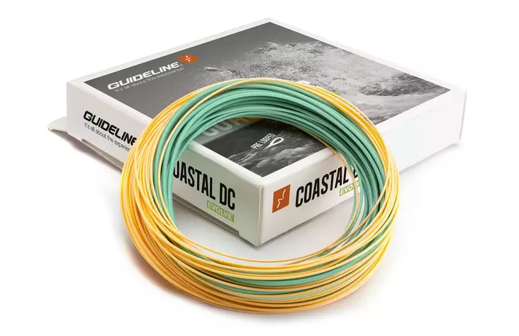 Guideline Coastal DC Evolve Fast Intermediate - Sinkend - 7033841045889 - 1