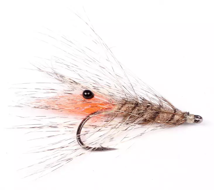 Laser Shrimp - Garnelen - 7033840131439 - 2