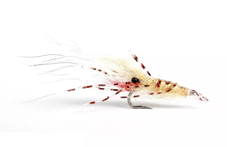 Leoshrimp Tan - Garnelen - 7033840130319 - 1
