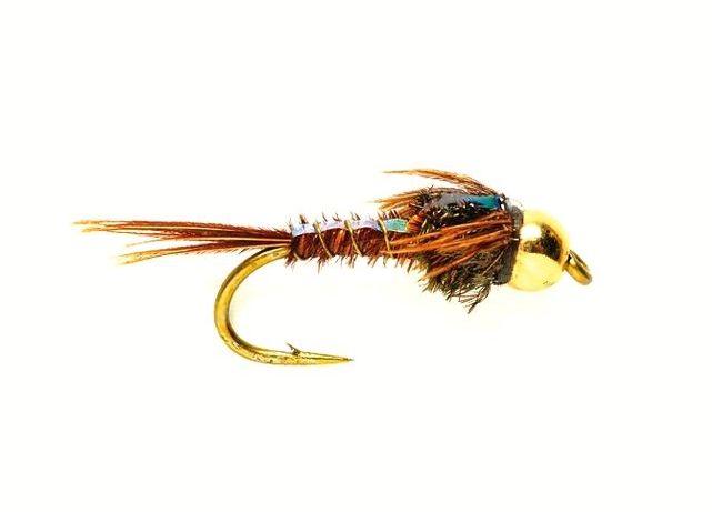 Pheasant Tail Flashback Beadhead - Nassfliegen - 5054302022739 - 1