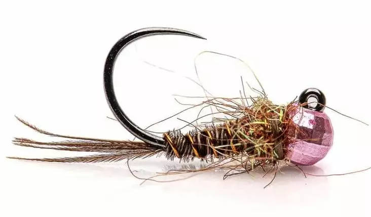 Pheasant Tail Jig -Disco Bead - Nassfliegen - 8859202538819 - 1