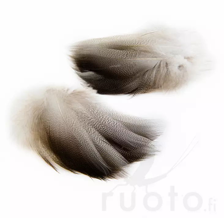 Wapsi Bronze Spey Mallard - Klassische Feder - 053526048049 - 1