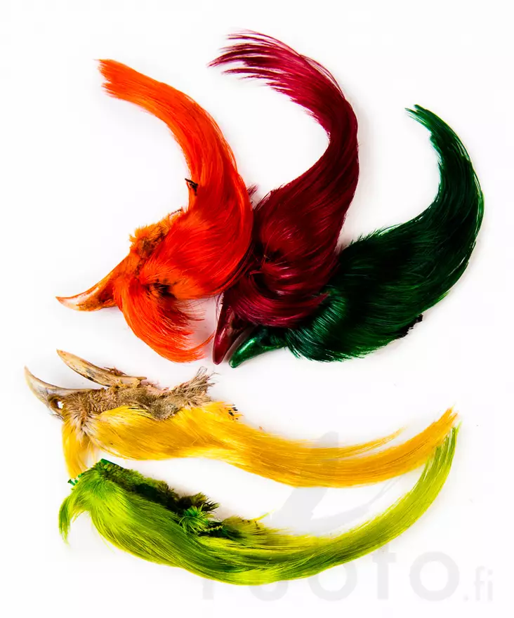 Wapsi Golden Pheasant Crest - Häute, Flügel und Köpfe - 404001000009 - 1