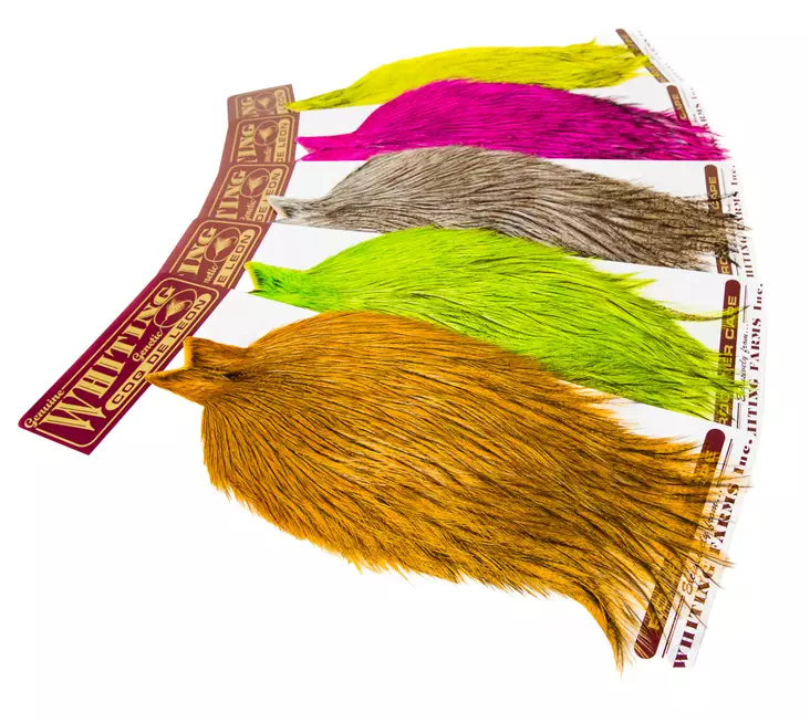 Whiting Coq De Leon Rooster Cape - Andere Hälse und Sattelfedern - 4035020009 - 1