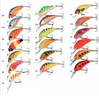 Salmo Hornet 4F - Wobbler <6 cm - salmohornet4f - 20