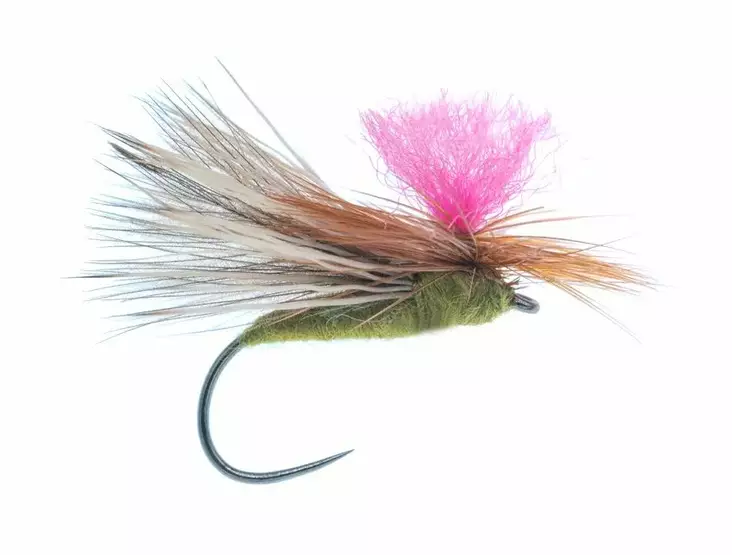 CDC Caddis Barbless Olive - Trockenfliegen - G1113BL-10O - 1