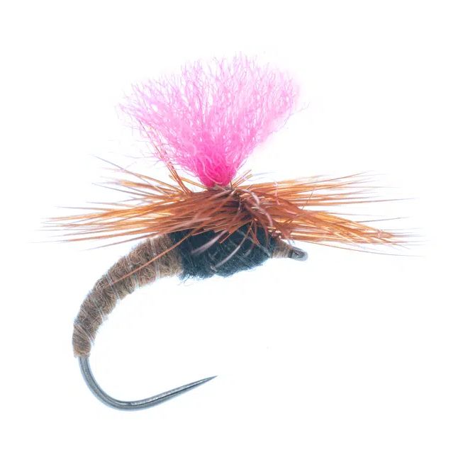 Klinkhamer Barbless Brown - Trockenfliegen - G1111BL-12BR - 1